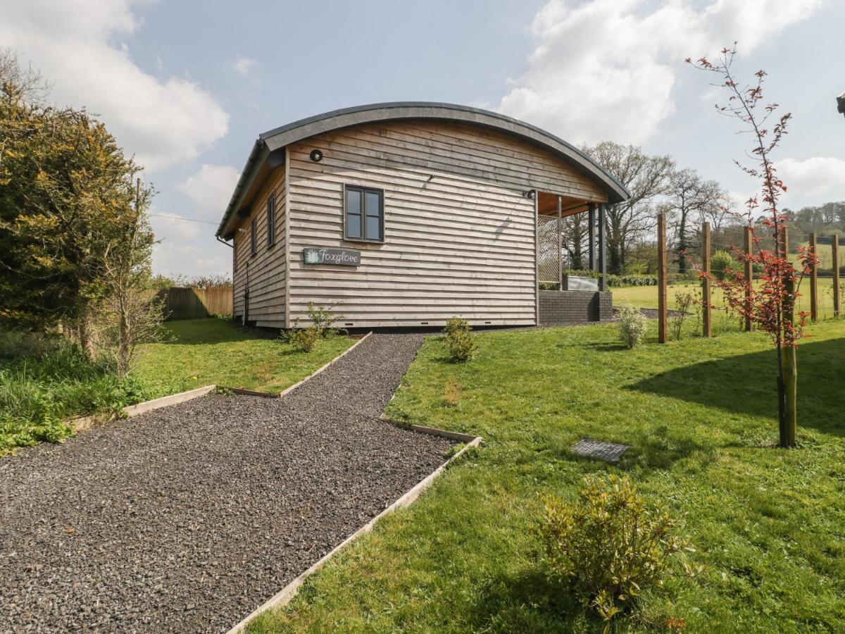 Foxglove Glastonbury Exterior photo