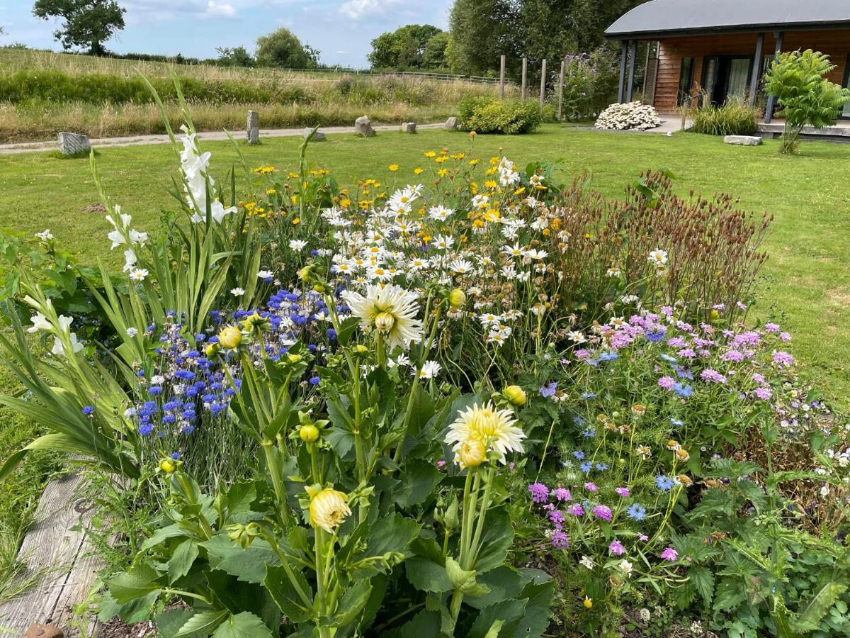 Foxglove Glastonbury Exterior photo